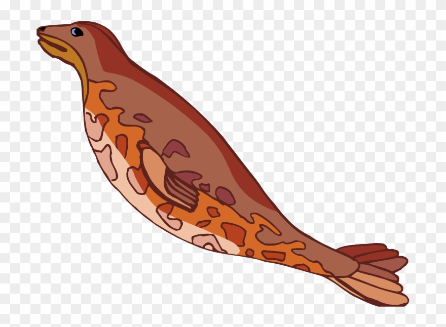 Free Seal Clipart - Seal Cartoon Png Swimming Transparent Png