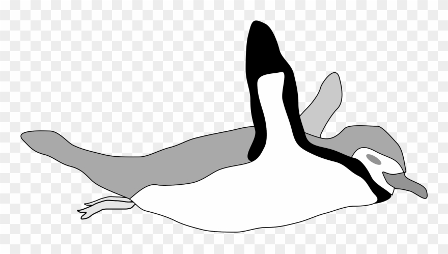 Emperor Penguin Swimming Drawing Computer Icons - Penguin Swimming Clip Art - Png Download
