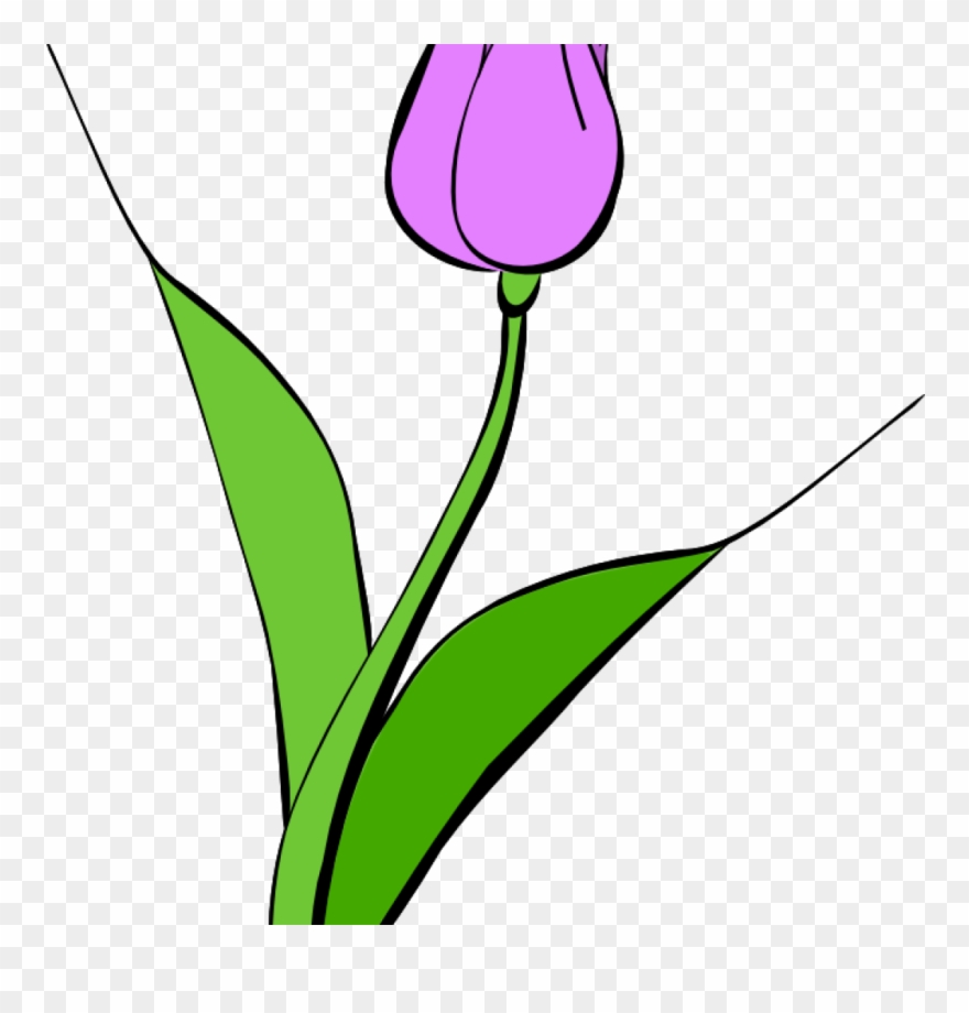 Frog Hatenylo Com Panda Free Images Space - Lale Çizimi Clipart