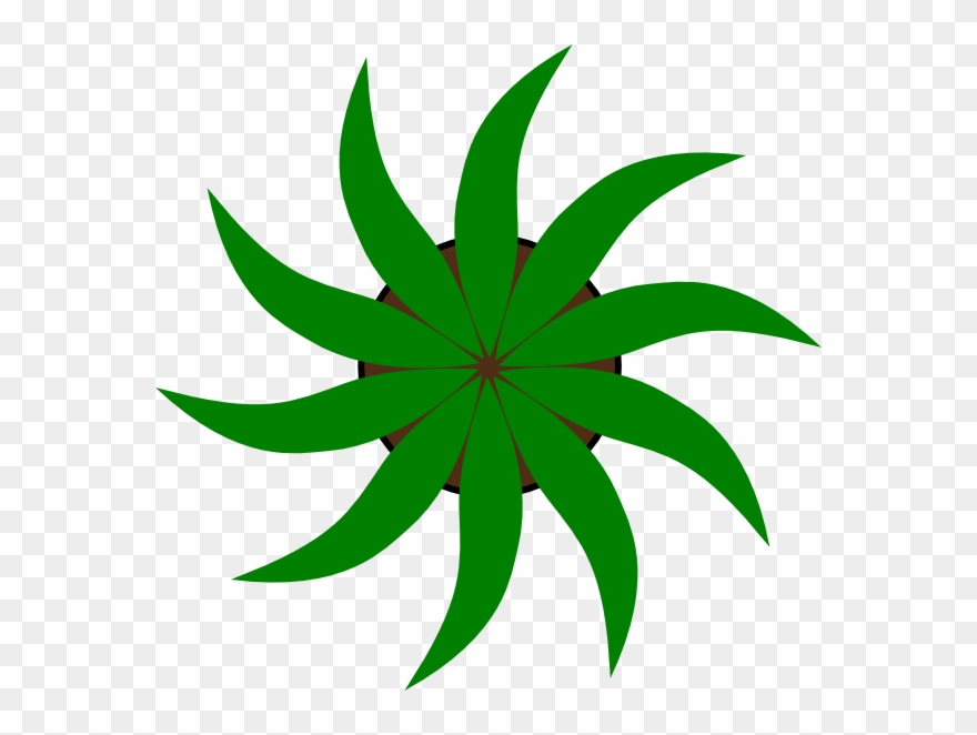 Green Star Shape Clip Art - Invasive Species Symbol - Png Download