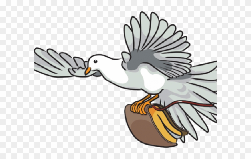 Turtle Dove Clipart Bible - Dove On Bible - Png Download
