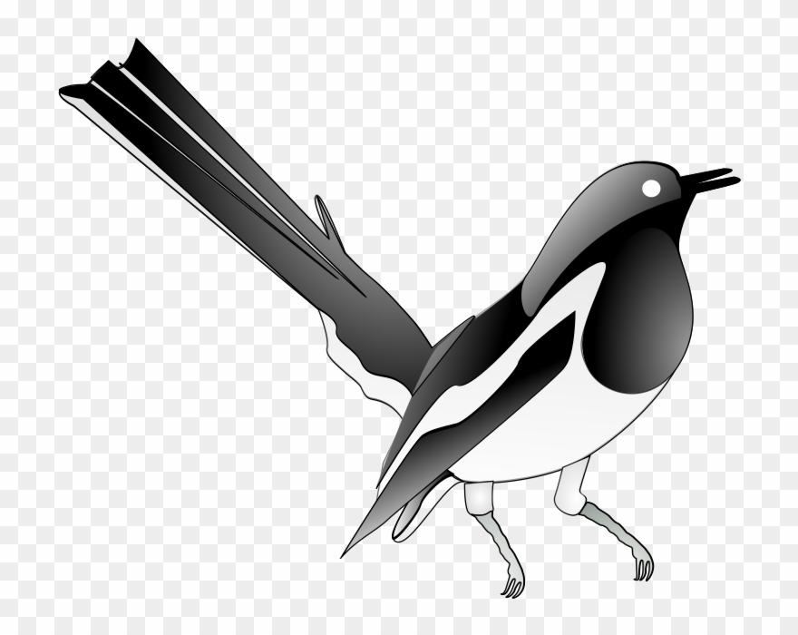 Magpie, Songbird, Bird, Song, Melody, Singing Bird - Oriental Magpie Robin Png Clipart