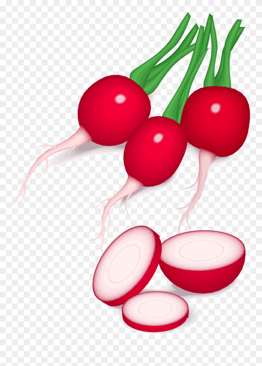 Radishes Clipart - Png Download