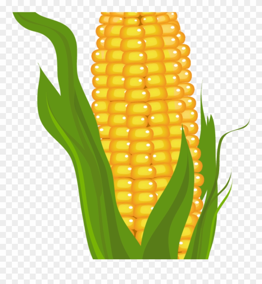 Corn Clipart Clip Art Stock - Corn Clipart Free - Png Download