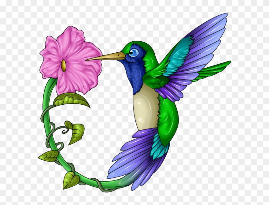 Hummingbird Clip Art 19 Hummingbird Clip Art Free Stock - Tattoo Ideas Hummingbird With Flower - Png Download