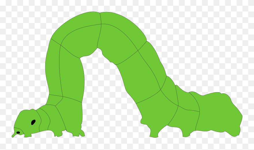 Inchworm Clipart - Png Download