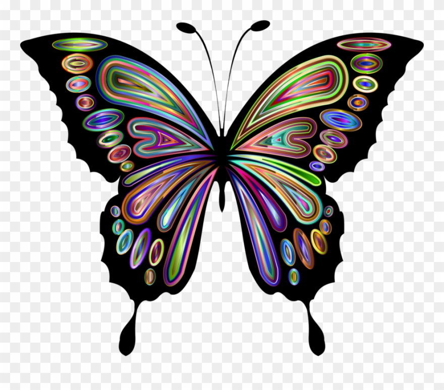 See The Butterfly Monarch Butterfly Download Animal - Clip Art Butterfly - Png Download