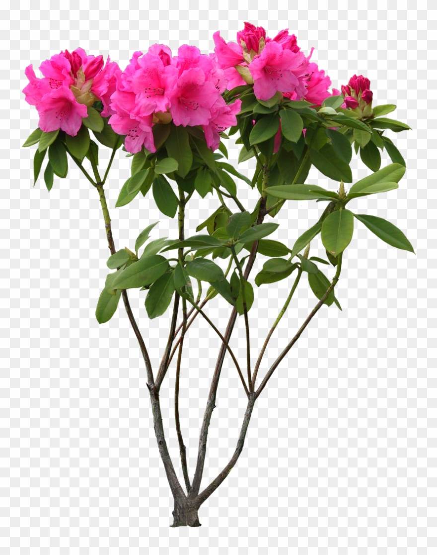 Free High Resolution Graphics And - High Resolution Images Png Clipart