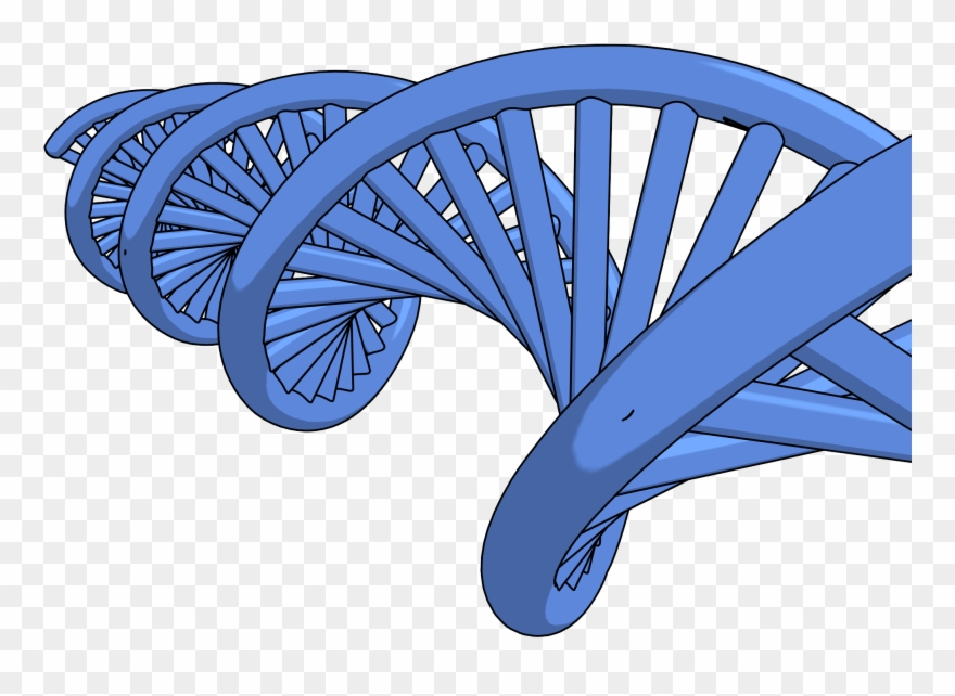 Dna Png Clipart Picture - Dna Clipart Transparent Png