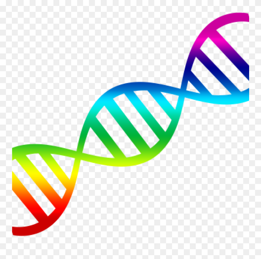 Dna Clip Art Dna Clipart 15 Clip Arts For Free Download - Dna Clipart Transparent Background - Png Download