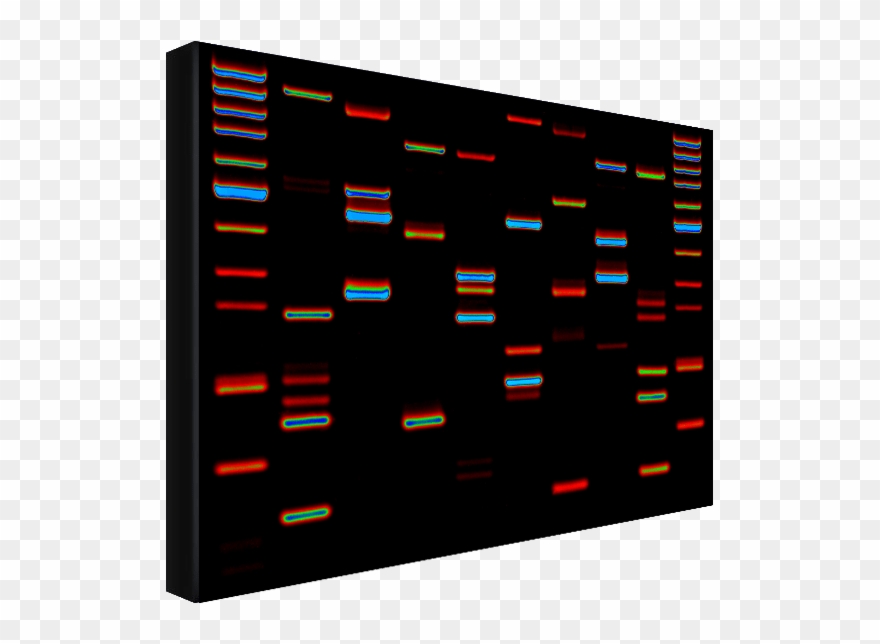 Dna Artwork By Dynamic Dna Labs - Parallel Clipart