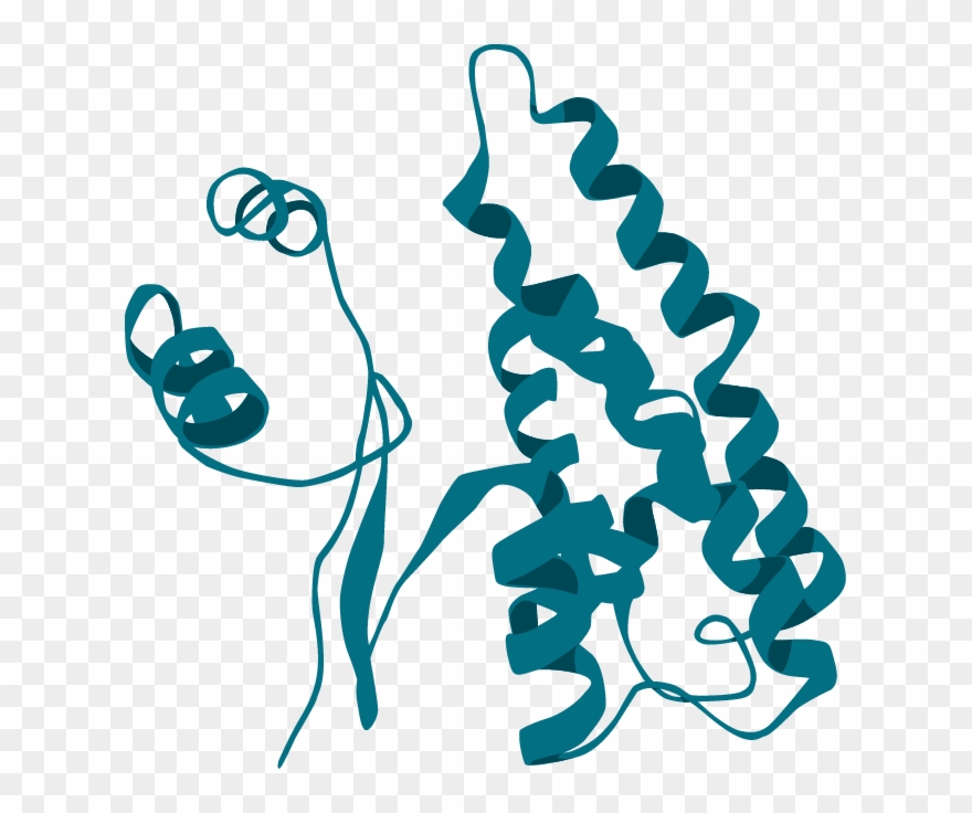 Protein Biomarkers - Illustration Clipart