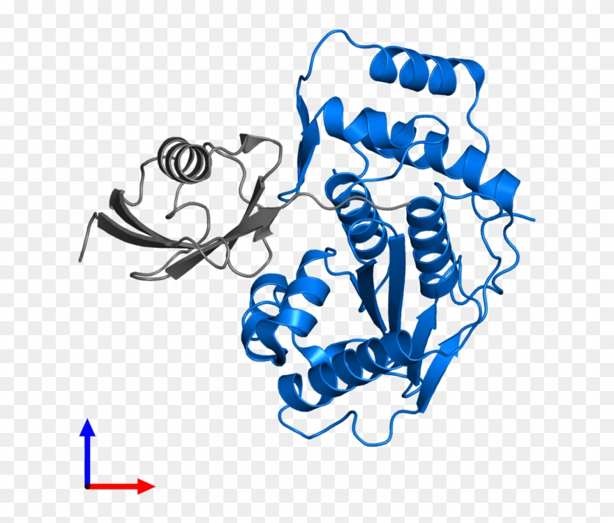 <div Class='caption-body'>pdb Entry 1euv Contains 1 Clipart