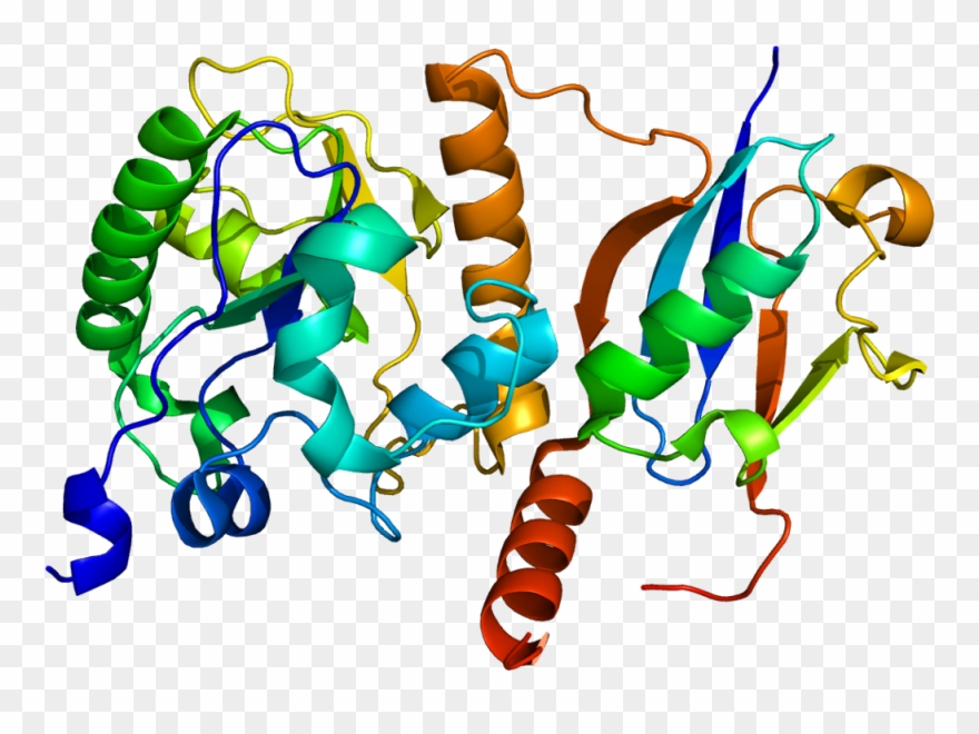 Thymine-dna Glycosylase Clipart