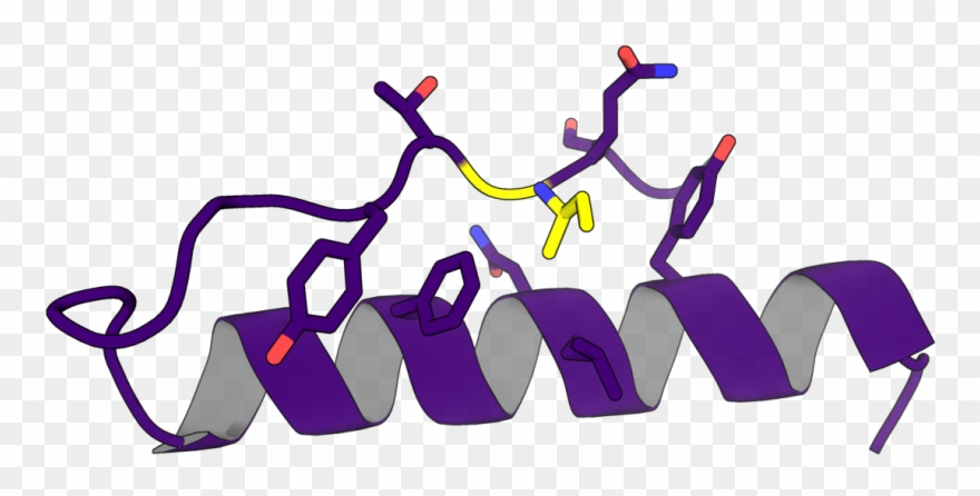 Protein Design With Rosetta - Protein Design Clipart