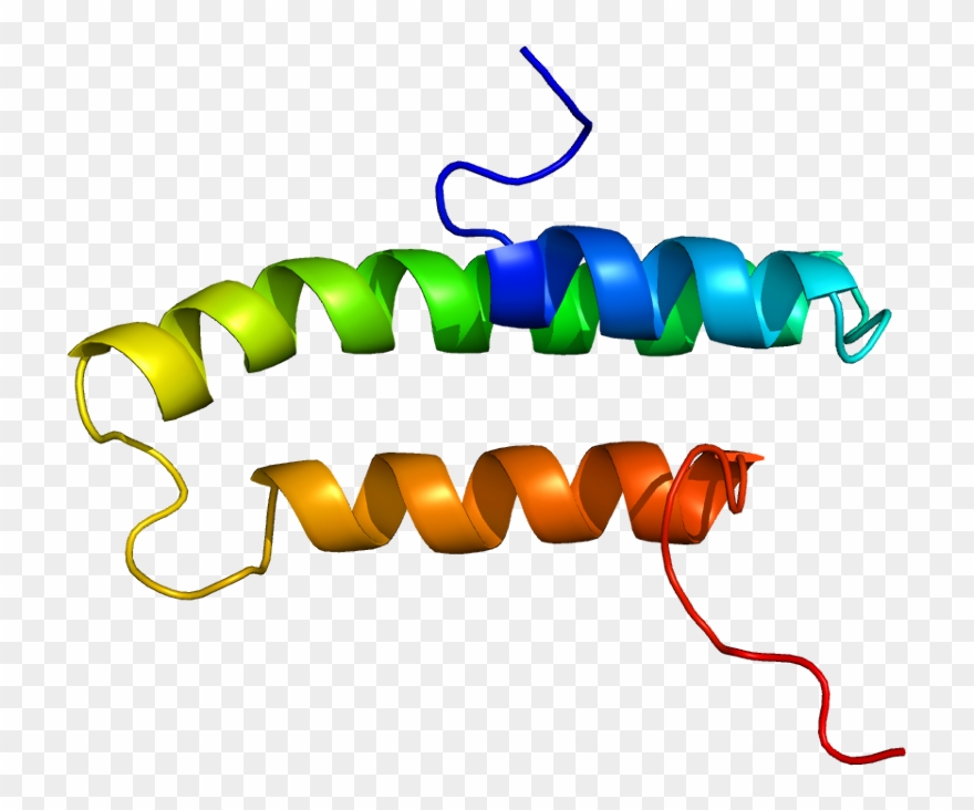 Lrpap1 Protein Structure Clipart