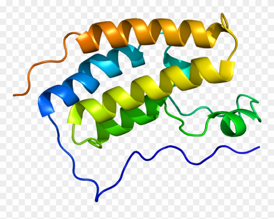 "protein Brd4 Pdb 2oss" By Emw - Brd4 Protein Structure Clipart