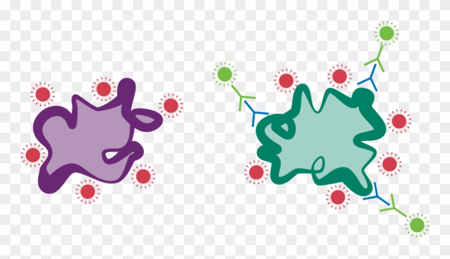 Revert Protein Figure - Illustration Clipart