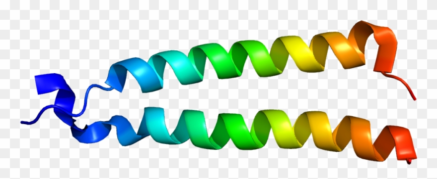 Transmembrane Proteins 14 Services - Graphic Design Clipart
