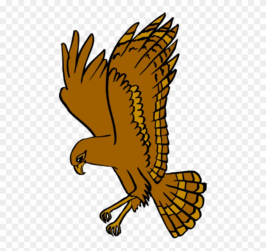 Hawk Clipart West Delaware - Delaware Township - Png Download