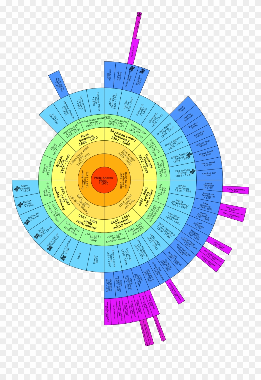 The Big Tree Fan Chart With Dna Matches Marked - Genealogy Clipart