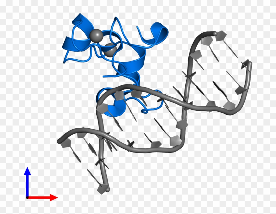 <div Class='caption-body'>pdb Entry 3qmc Contains 1 - Protein Data Bank Clipart