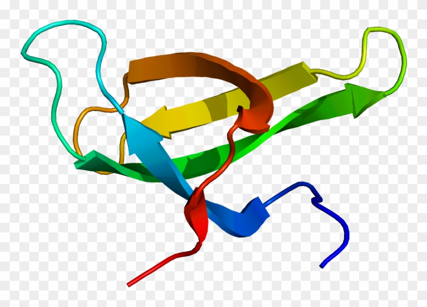 Survival Of Motor Neuron Clipart