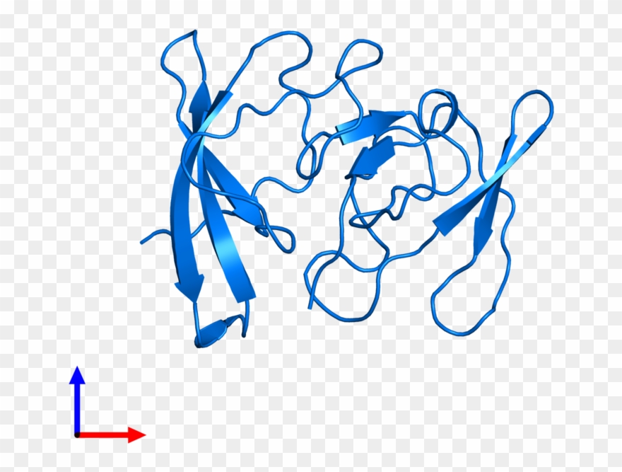 <div Class='caption-body'>pdb Entry 1rl2 Contains 1 - Illustration Clipart