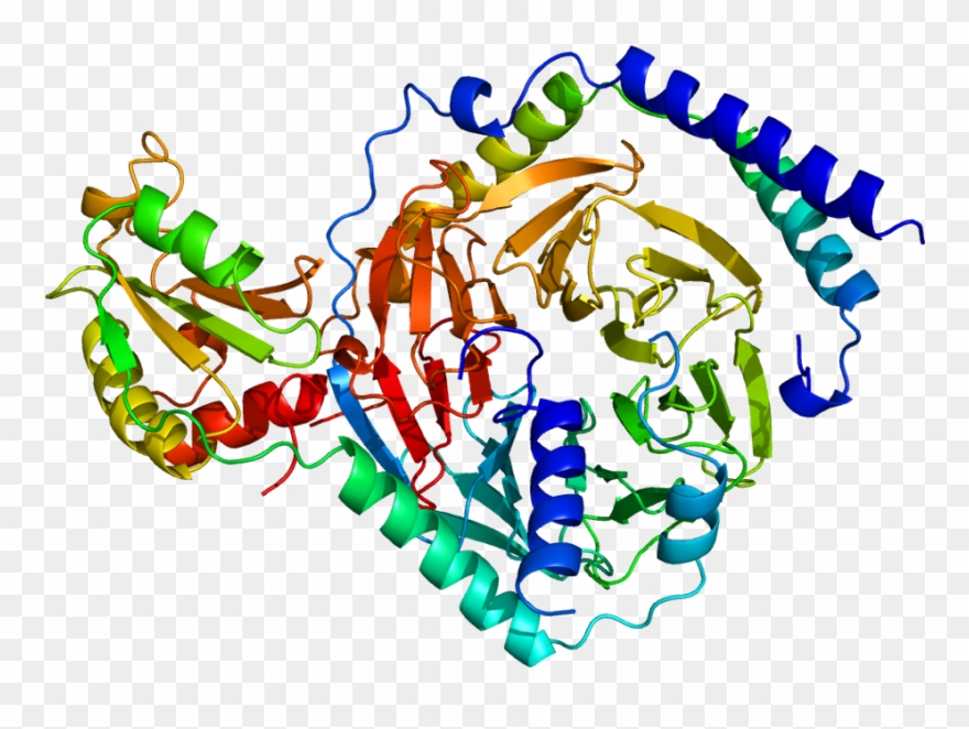 Protein Gngt1 Pdb 1a0r - Gnb4 Clipart