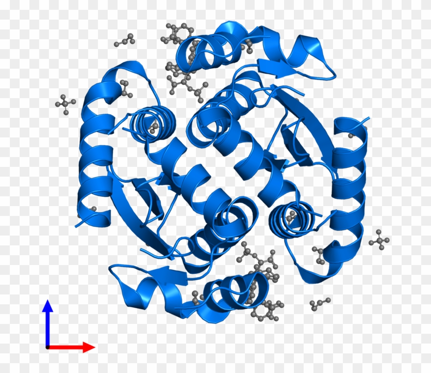 <div Class='caption-body'>pdb Entry 5hrp Contains 2 - Graphic Design Clipart