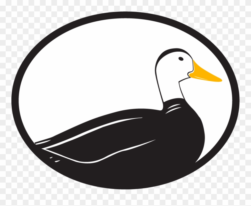 Bahamas Clipart Duck - Logo - Png Download