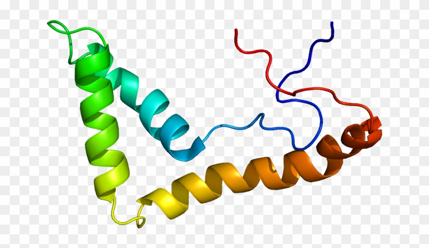 Protein Ubtf Pdb 1k99 - Protein Clipart