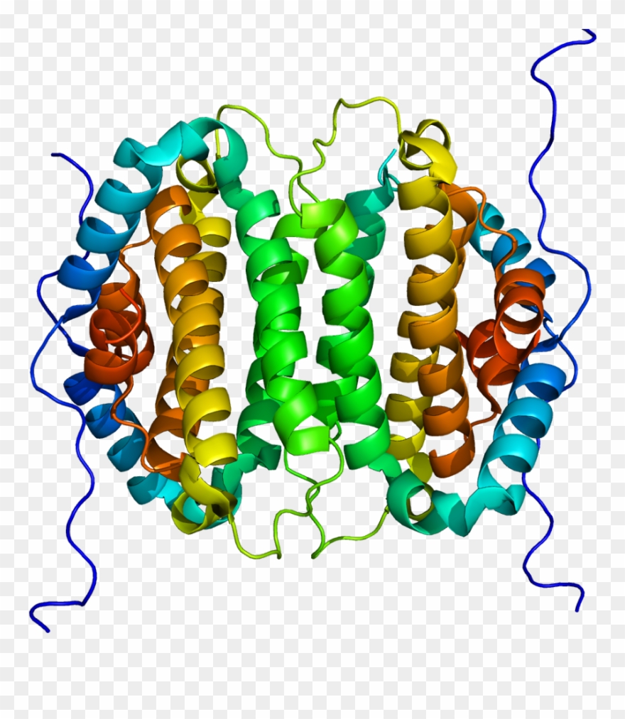 Xtp3-transactivated Gene A Protein Clipart