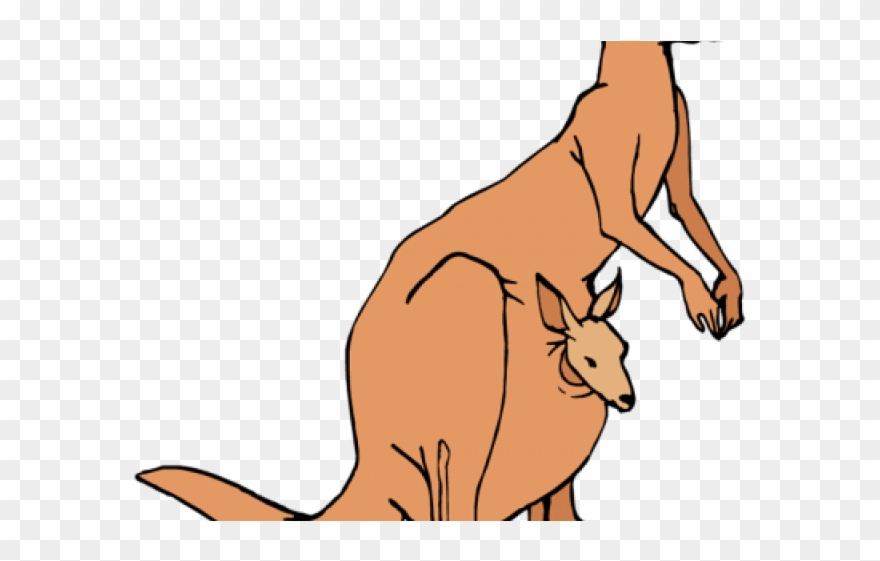 Cool Clipart Kangaroo - Kangaroo Clip Art Png Transparent Png