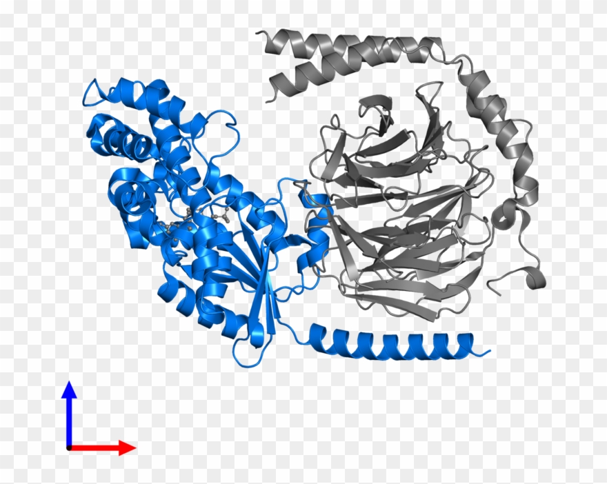 <div Class='caption-body'>pdb Entry 5kdo Contains 1 - Illustration Clipart