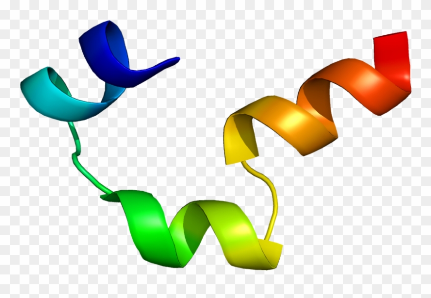 Protein Cckbr Pdb 1l4t - Cholecystokinin B Receptor Clipart