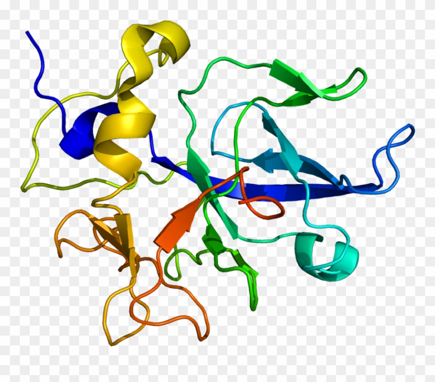 Protein Scye1 Pdb 1e7z - Transfer Rna Clipart
