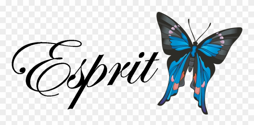 Esprit Gala - Butterfly Stainless Steel Travel Mug Clipart