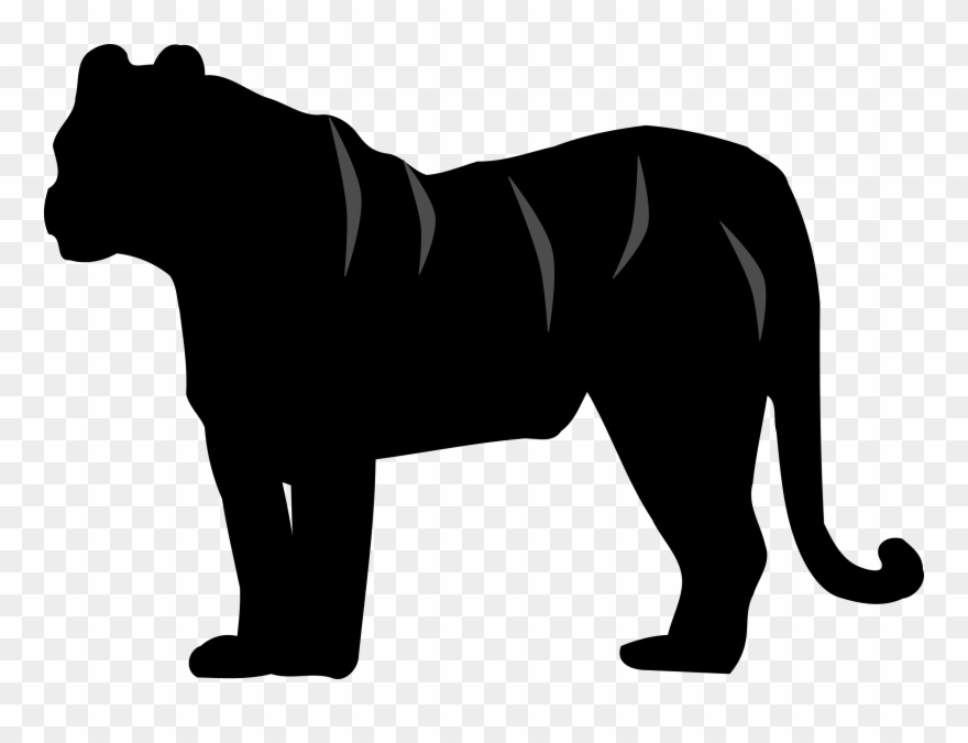 White Tiger Felidae Silhouette Cat - Tiger Silhouette Clipart - Png Download