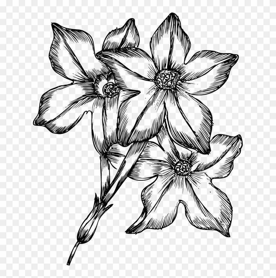 Gravestone Clipart Flower Drawing - Hand Drawn Flowers Png Transparent Png