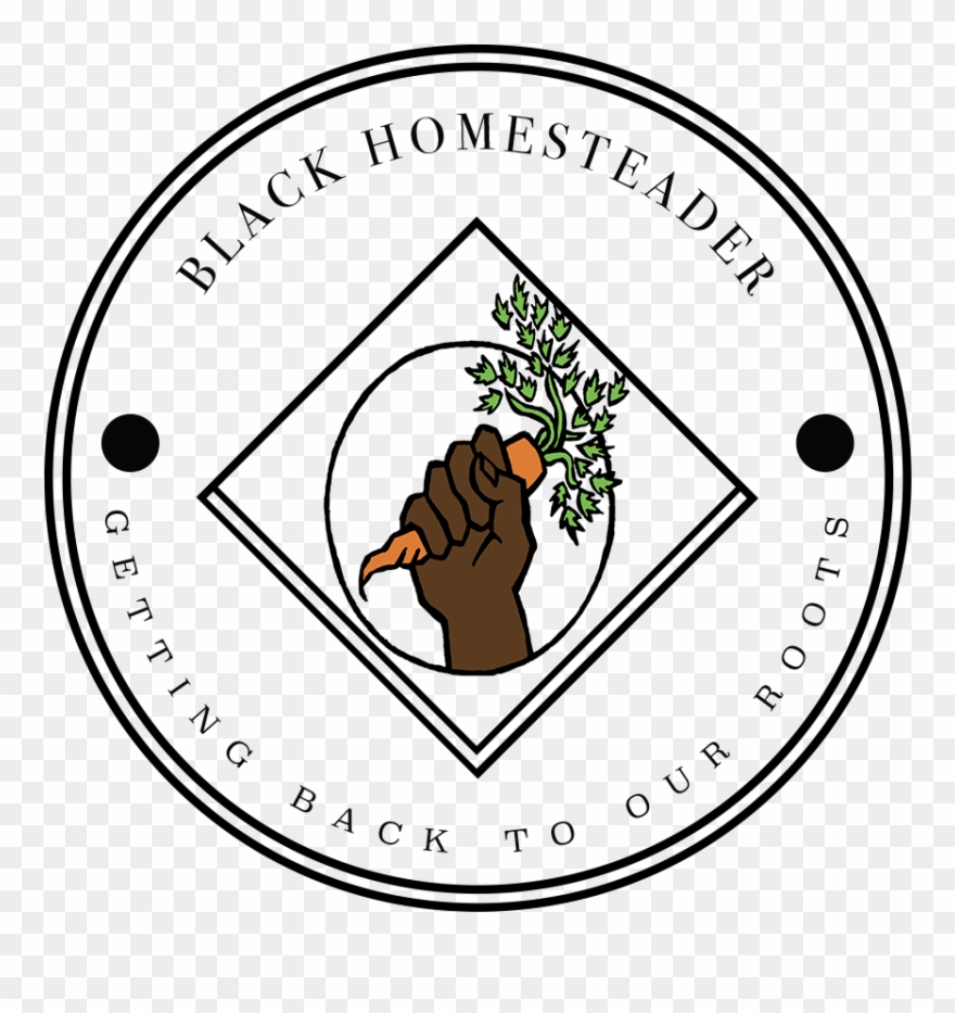 Get Access To Our Weekly Roundup - Illustration Clipart