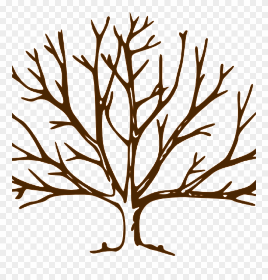 Fall Clipart Bare Fall Tree - Winter Trees To Draw - Png Download
