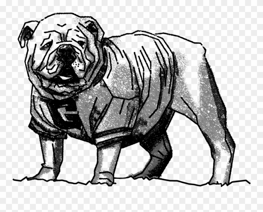 Drawn Bulldog Uga - Black And White Uga Clipart