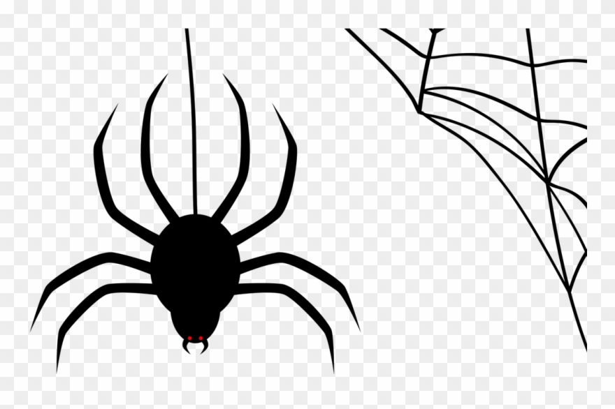 How Birds Fly - Spider Web Vector Png Clipart