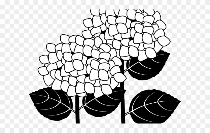 Hydrangea Silhouette Cliparts - French Hydrangea - Png Download