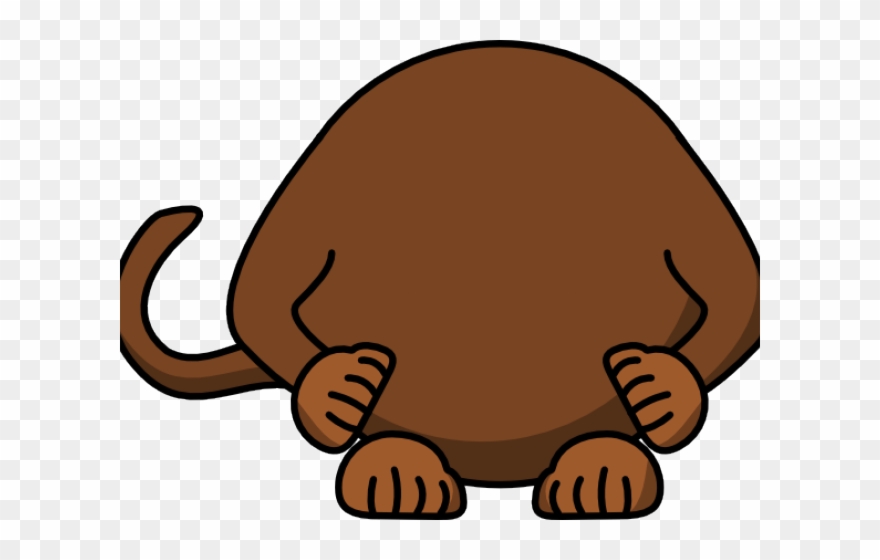 Monkey Clipart Body Cartoon Monkey Shower Curtain Png Download