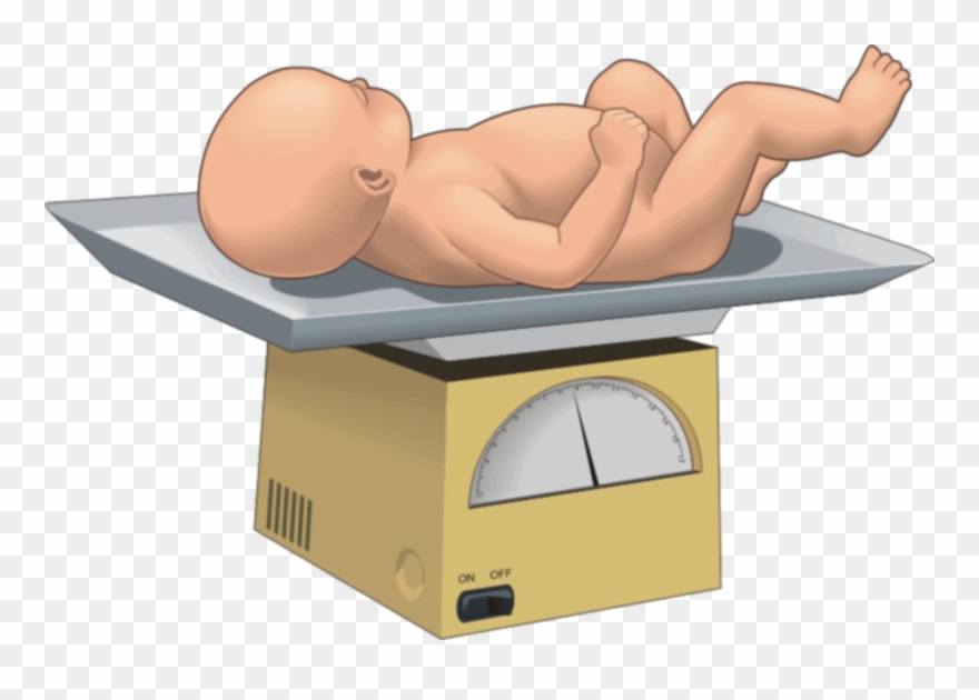 Baby Scale Clipart Baby, Baby Clip Art, Free Graphics, - Examen Fisico Del Recien Nacido - Png Download