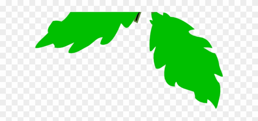 Grape Clipart Grape Leaf - Un Gajo De Uvas - Png Download