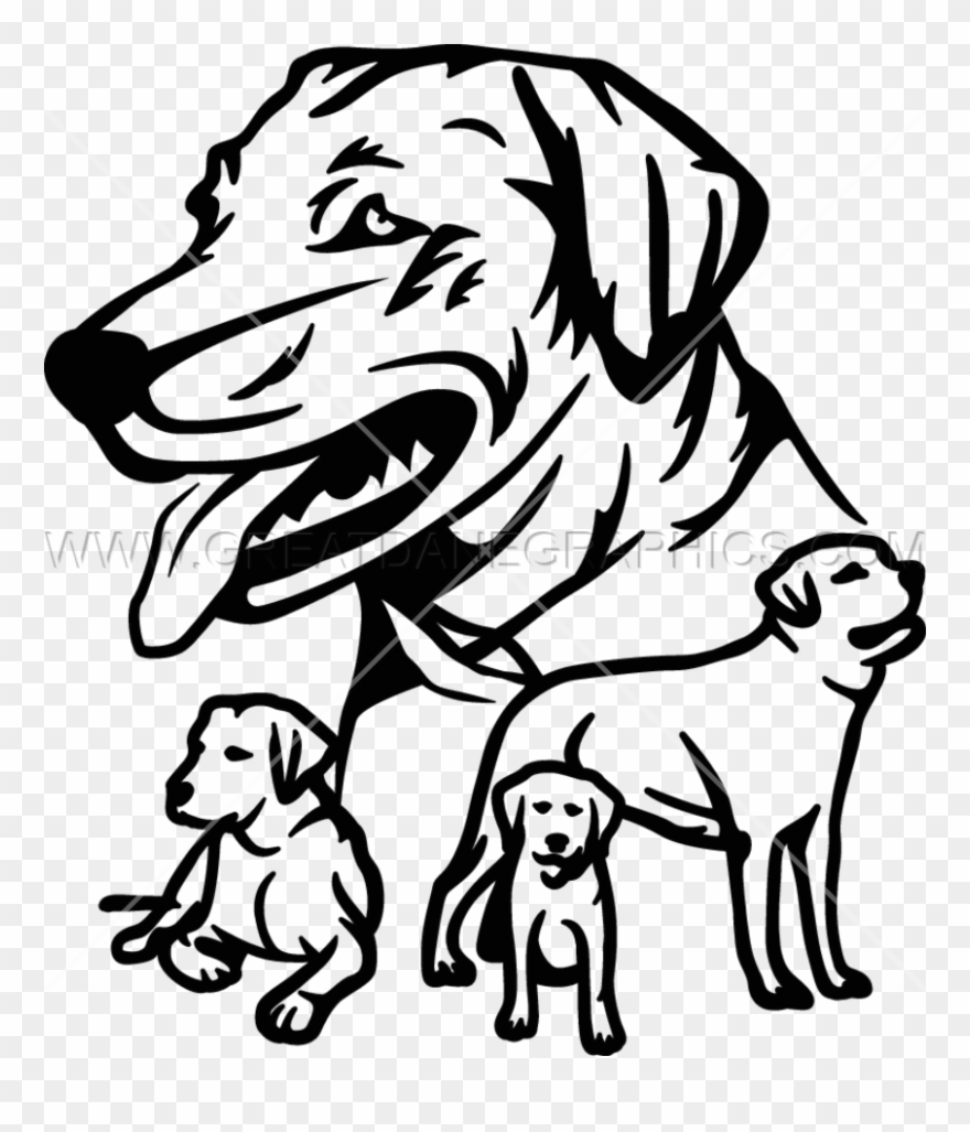 Golden Retriever - Dog Yawns Clipart