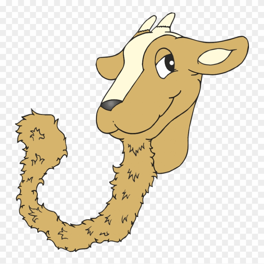 Clipart Goat Kiko Goat - Goat - Png Download